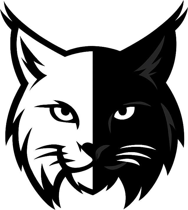 LynxPrompt